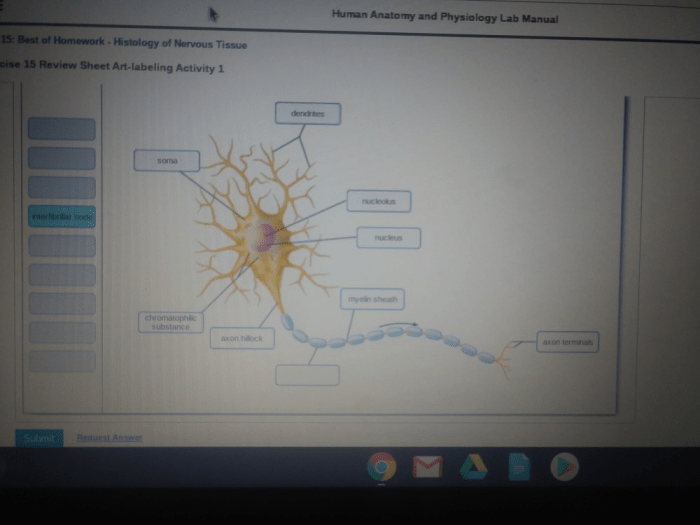 Neuron physiology 1ea